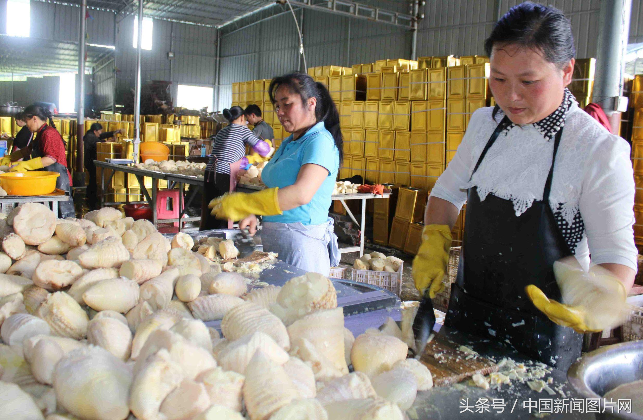 食品科学公务员报考条件解析