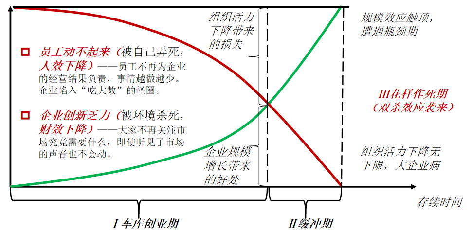 舒城人才网，连接人才与机遇的桥梁