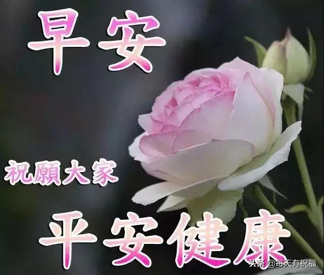 十首最好老歌甜蜜蜜歌曲，唤醒回忆中的美好旋律